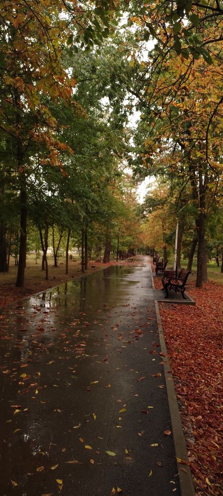 Photograph by Лидия Кротько