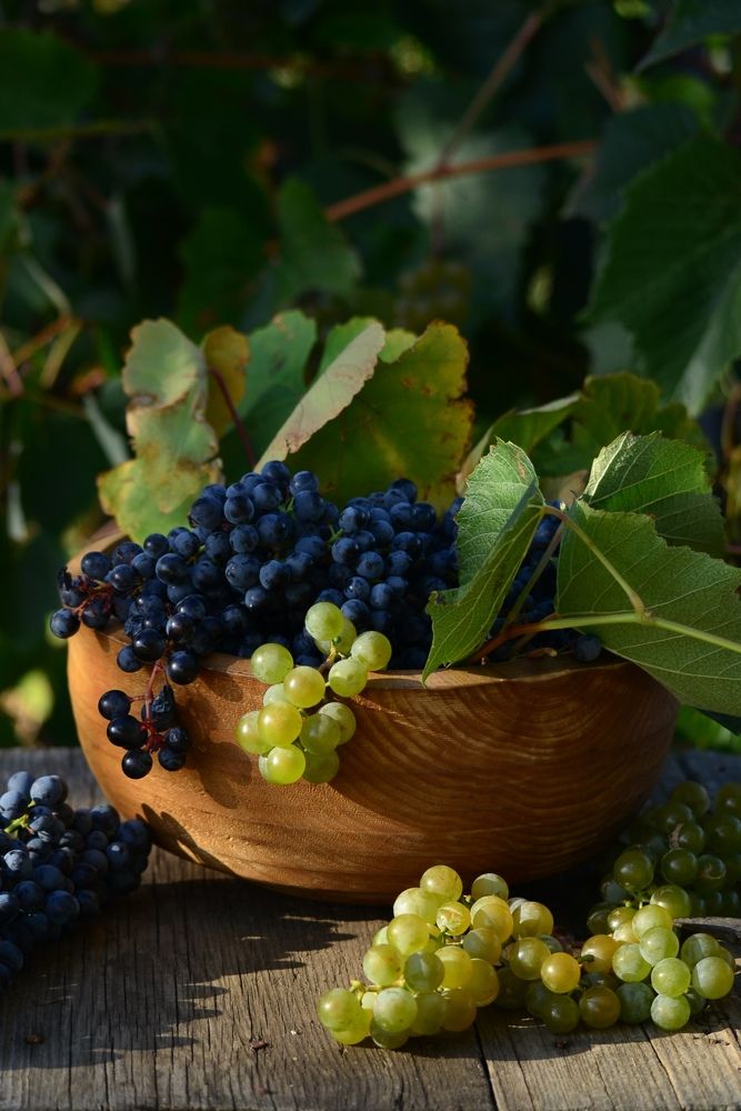 Photograph by Ольга Мокрова