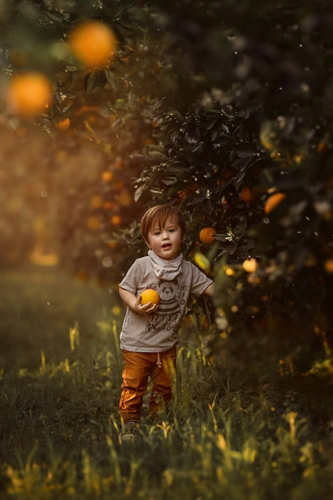 Фотография автора Vanesa Coulleri