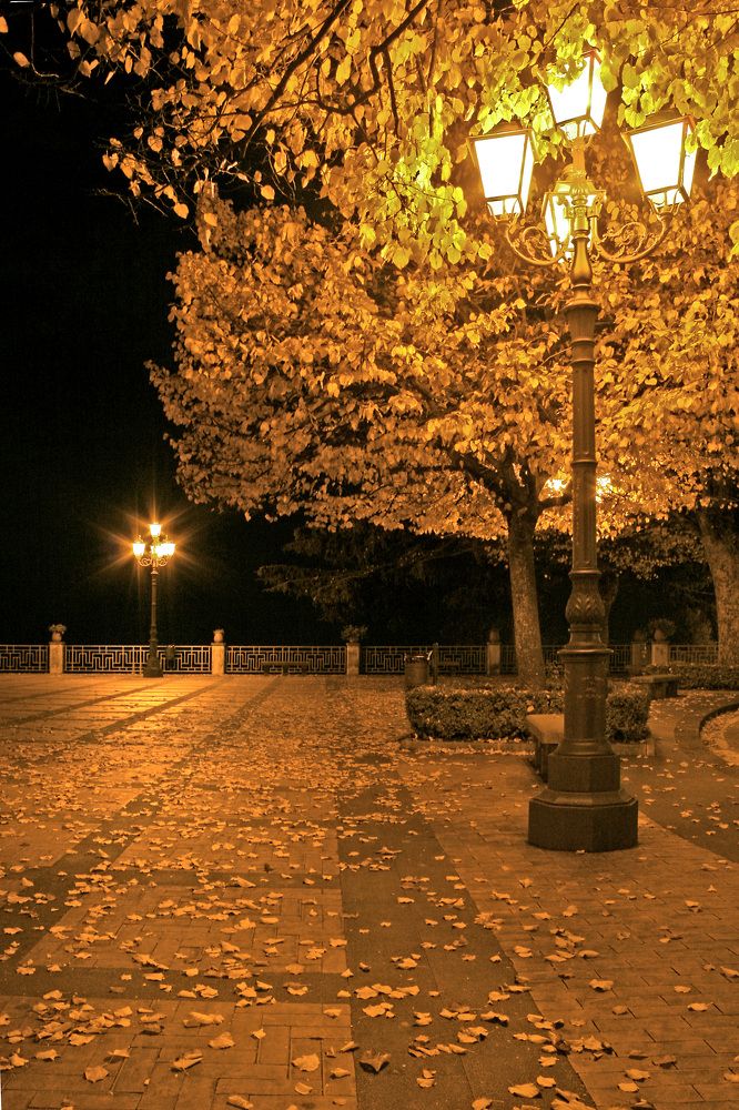 Photograph by Claudio Bonaccorsi