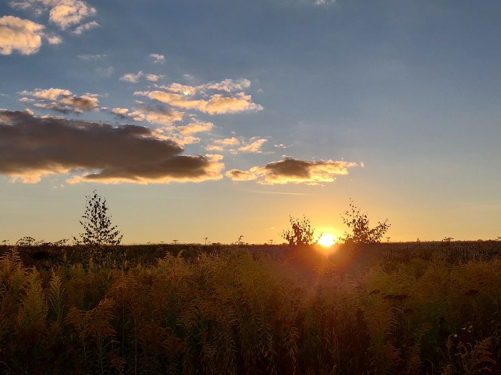 Photograph by Наталья Корнеева