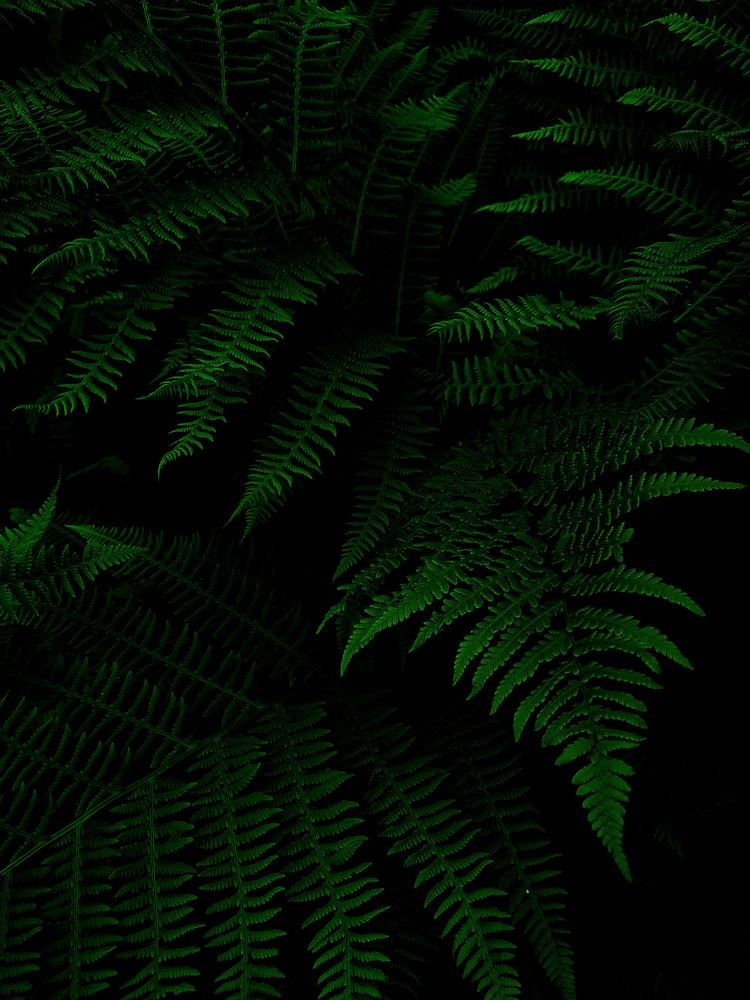 Photograph by Mila Vshivkova