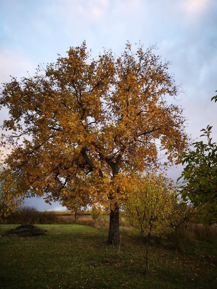 Photograph by Nikolett Mengyi