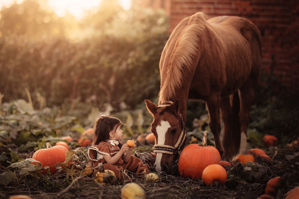 Photograph by Rygula Agi