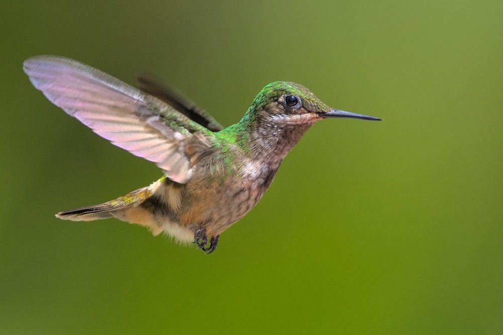 Photograph by Eduardo Bom