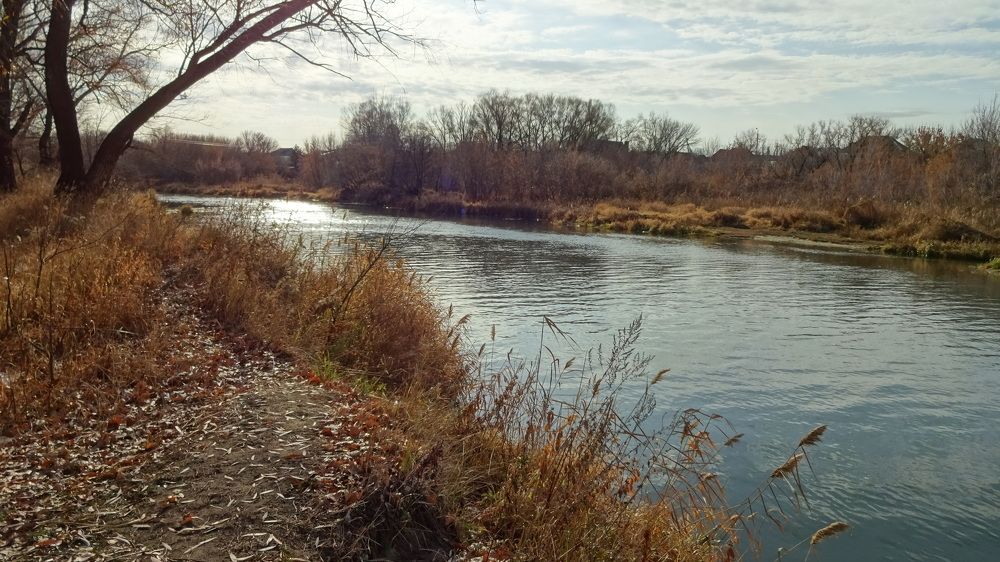 Photograph by Елена Мясникова