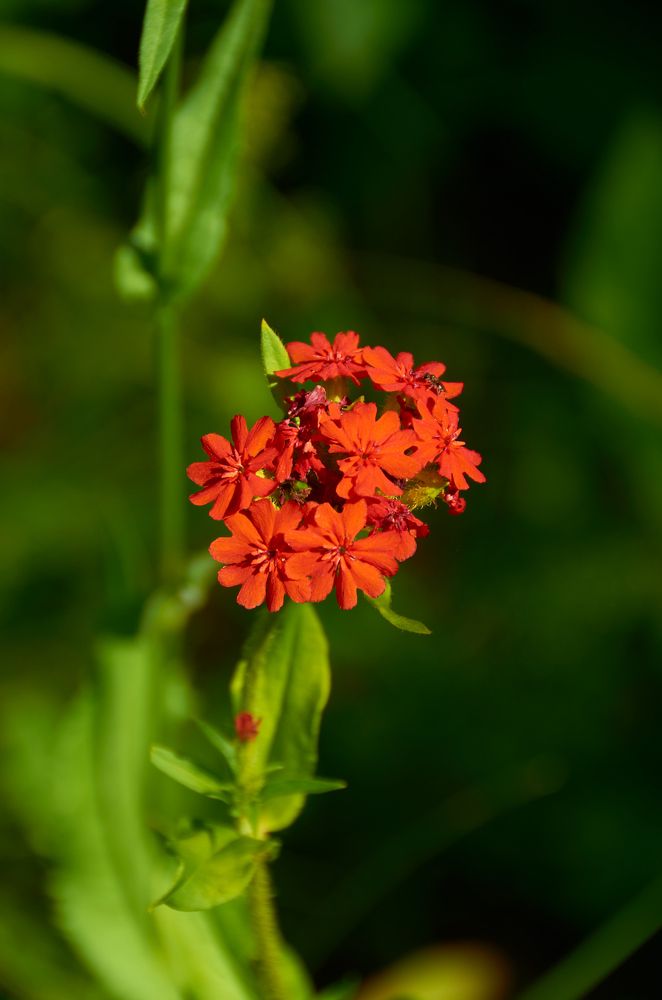 Photograph by Камиль Ахметшин