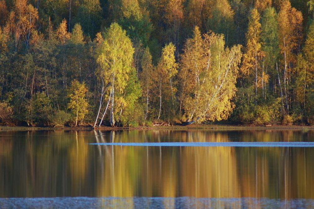 Фотография автора Nelya  Lysenko