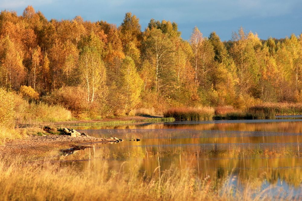 Фотография автора Nelya  Lysenko