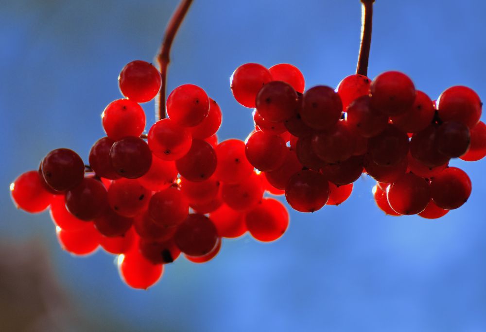 Photograph by Андрей Куликов