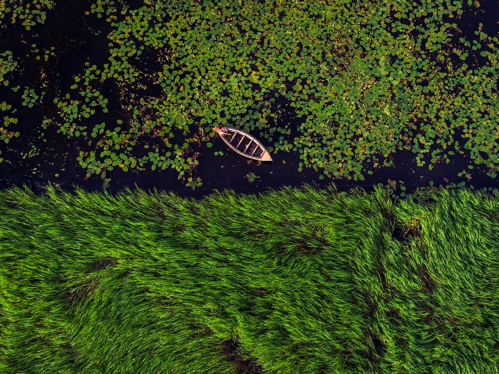 Photograph by Rahat Bin Mustafiz