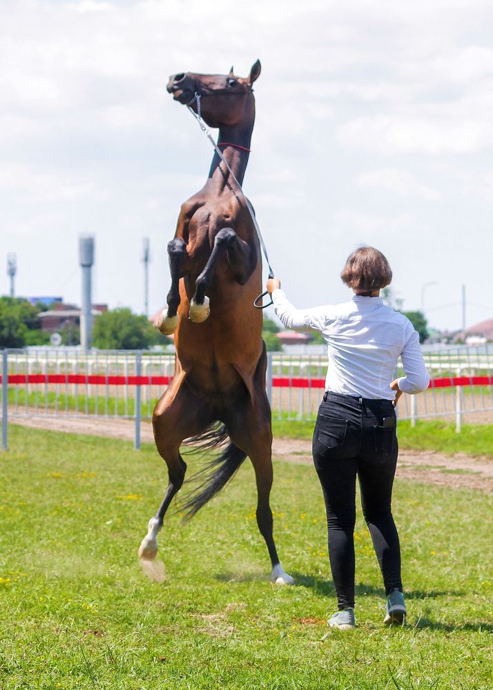 Photograph by Ольга Сельницына