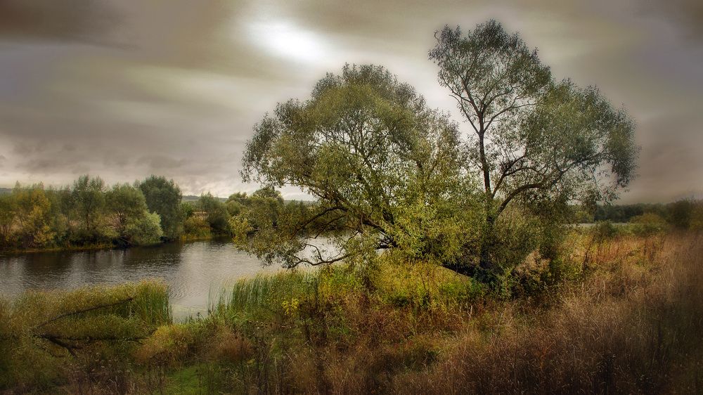 Photograph by Людмила Железнова