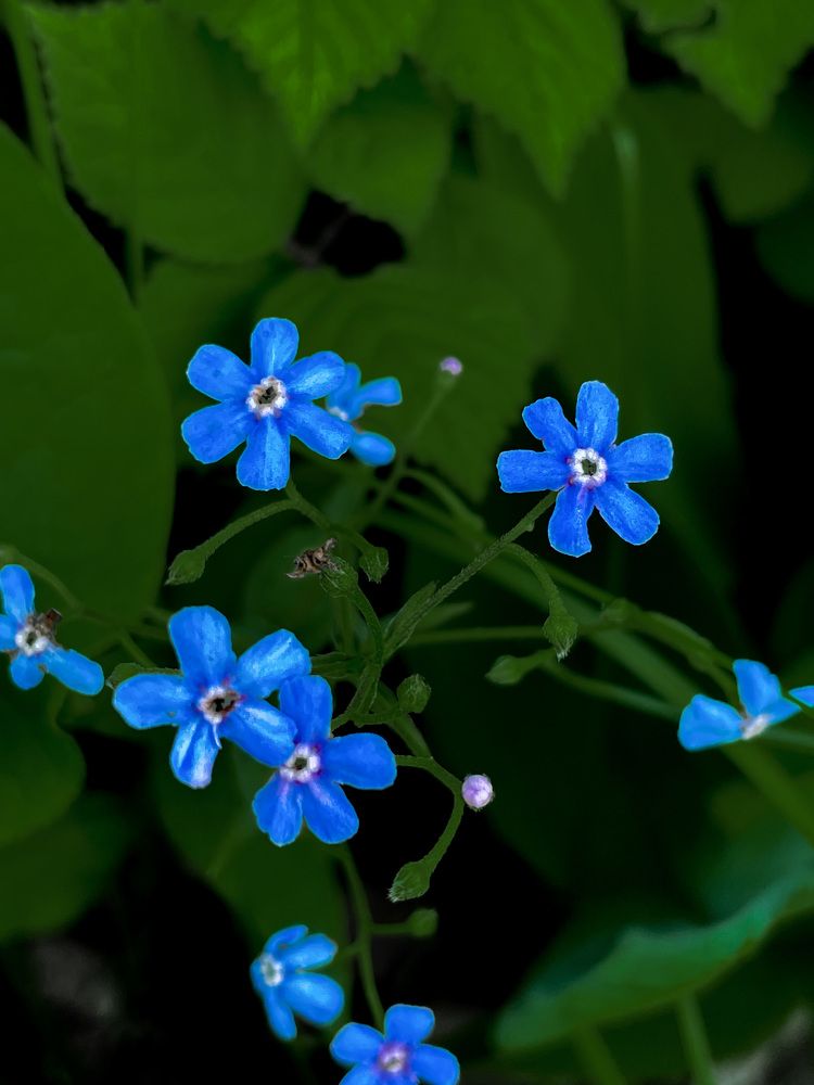 Photograph by Асель Бекбосынова