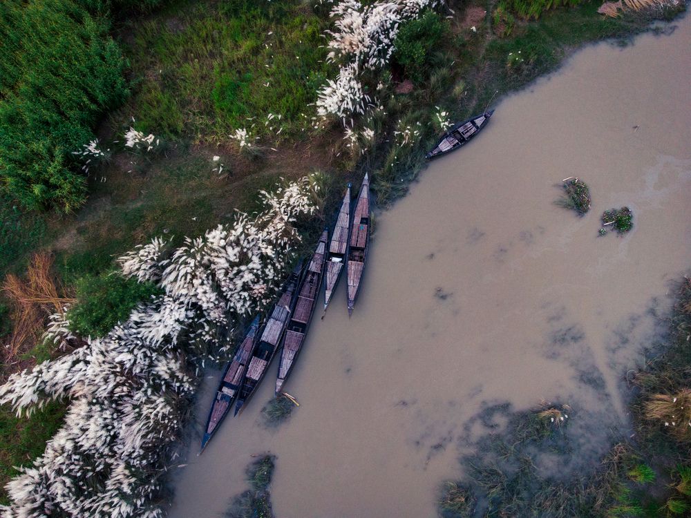 Photograph by Rahat Bin Mustafiz