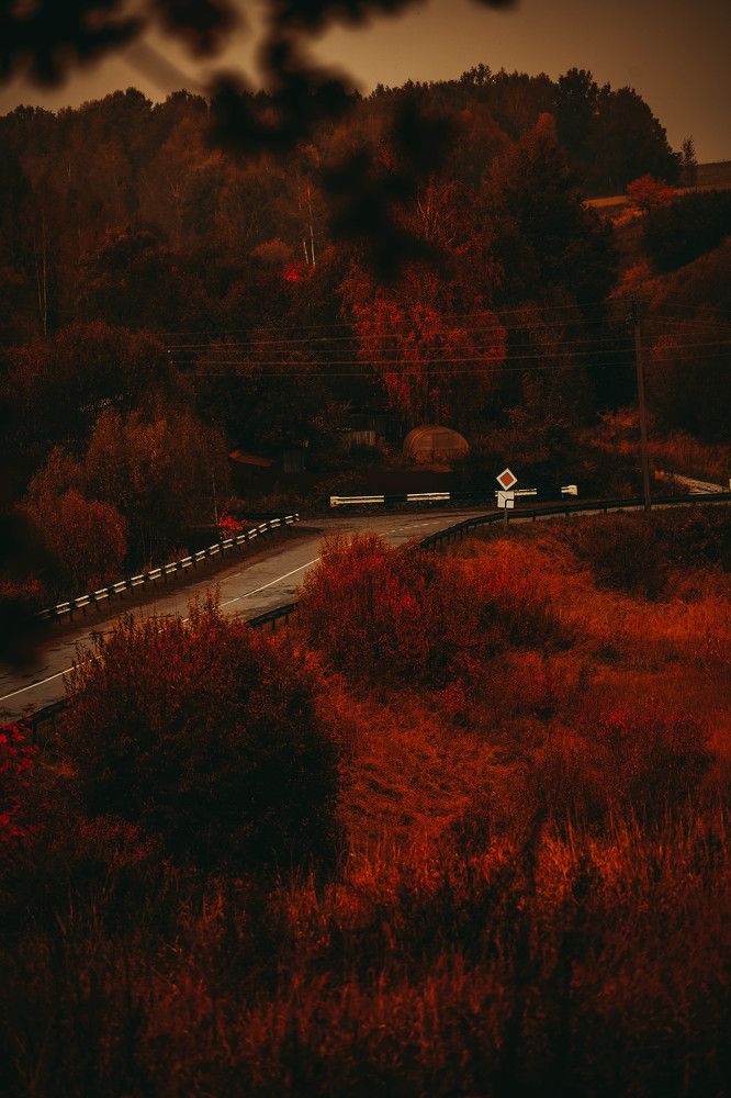 Photograph by Владимир Изотов