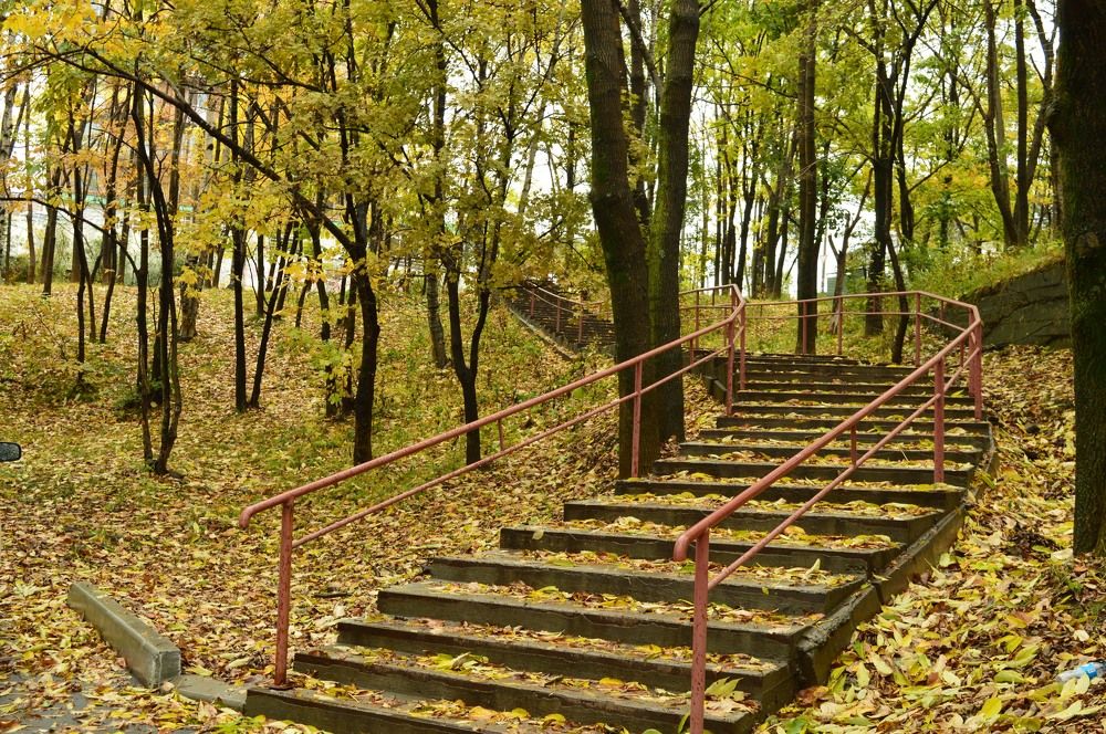 Photograph by Наталья Копьева