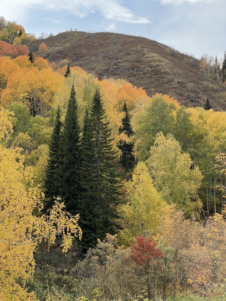 Photograph by Асель Бекбосынова