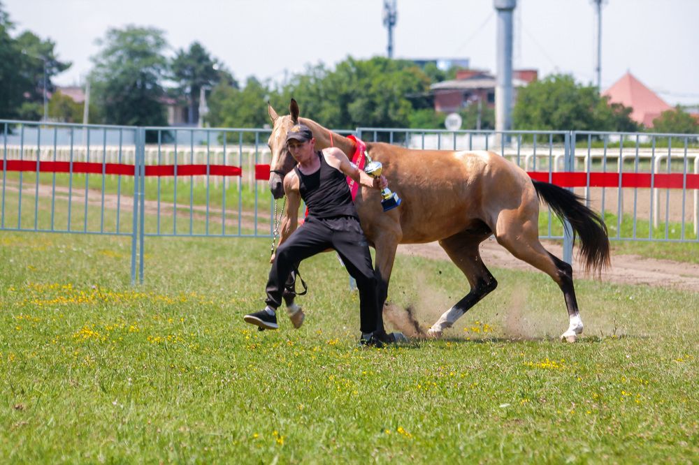 Photograph by Ольга Сельницына