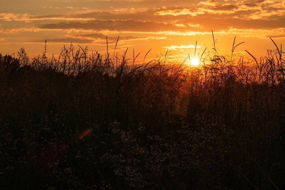 Photograph by Елена Баженова