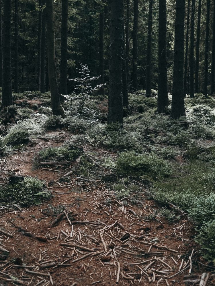 Photograph by Ксения Лаевская