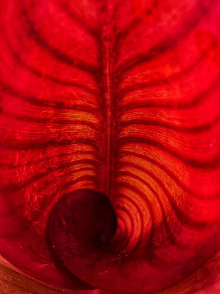 Photograph by Ольга