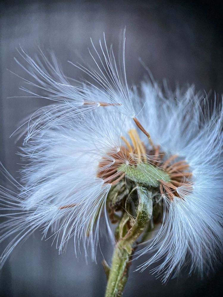 Photograph by Марина