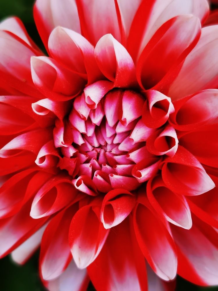 Photograph by Ольга