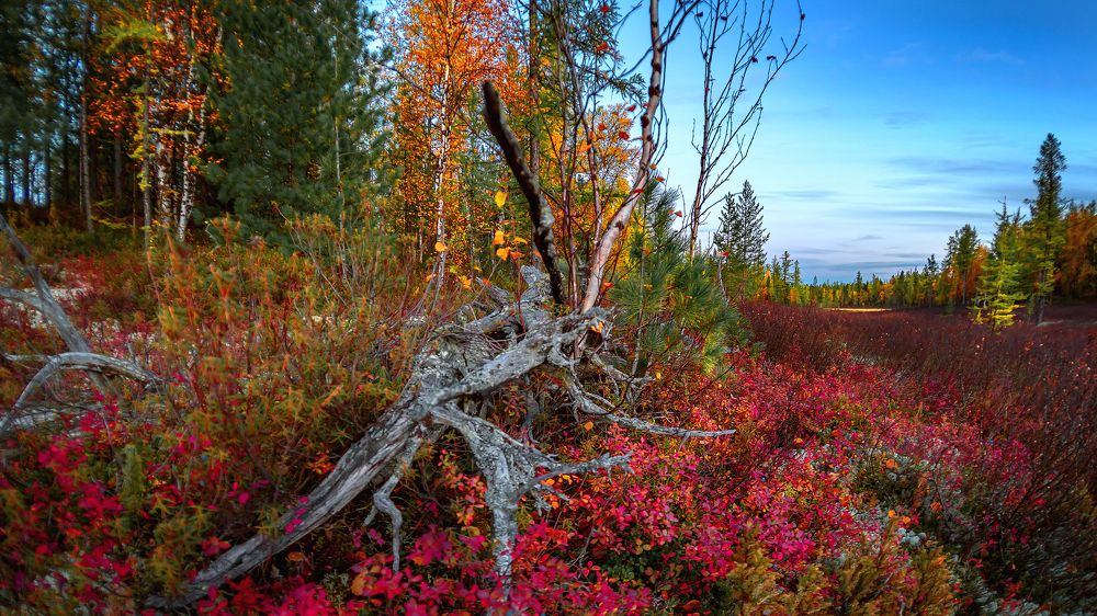 Photograph by Александр Слепцов