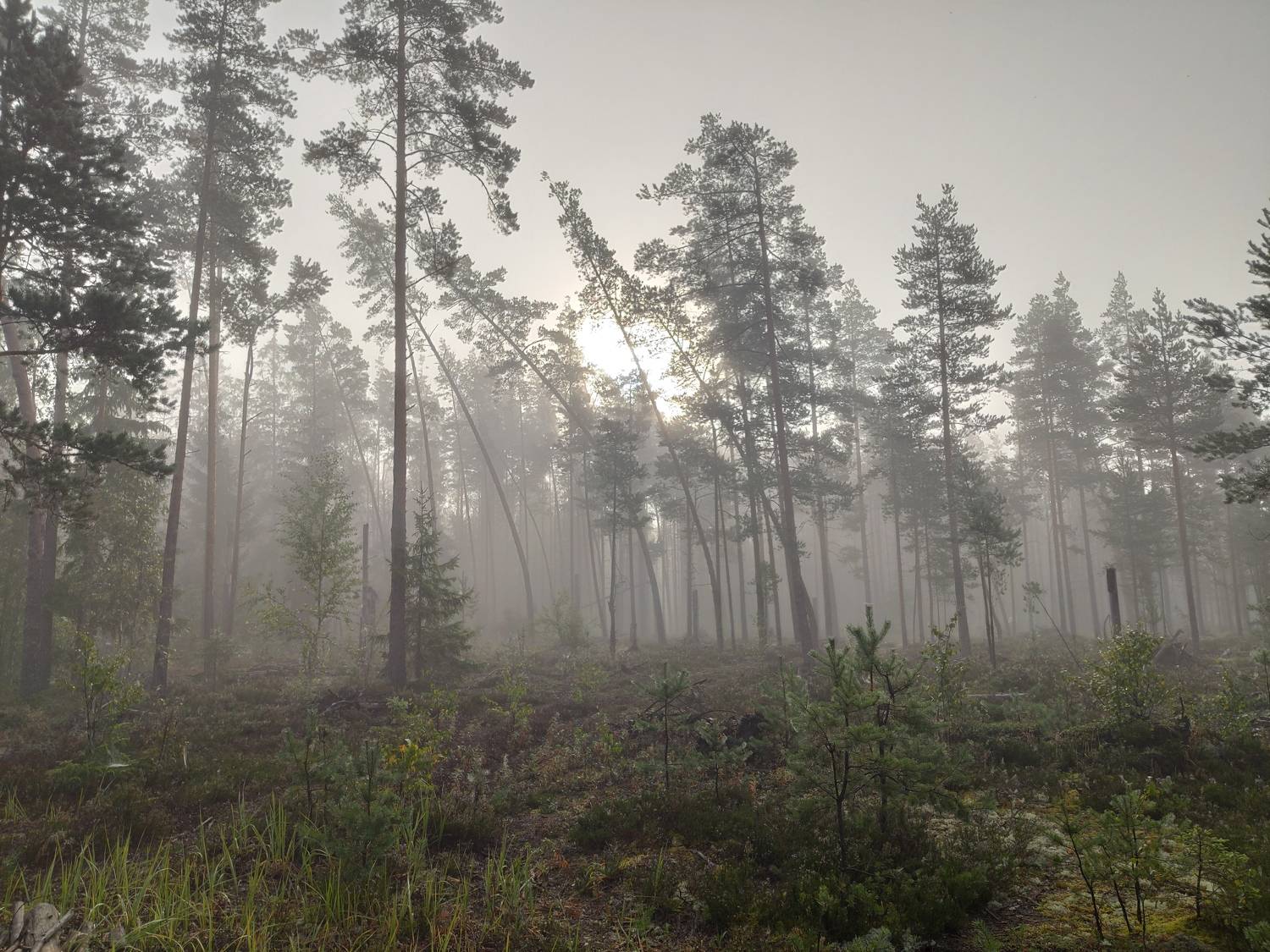 Photo #8130603