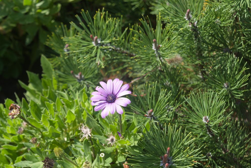 Photograph by Башлаев Константин