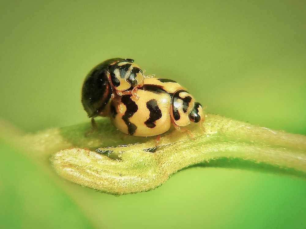 Photograph by Tanusri RoyChowdhury