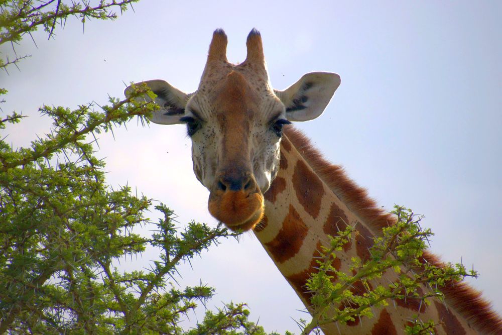 Photograph by Epp Tappel