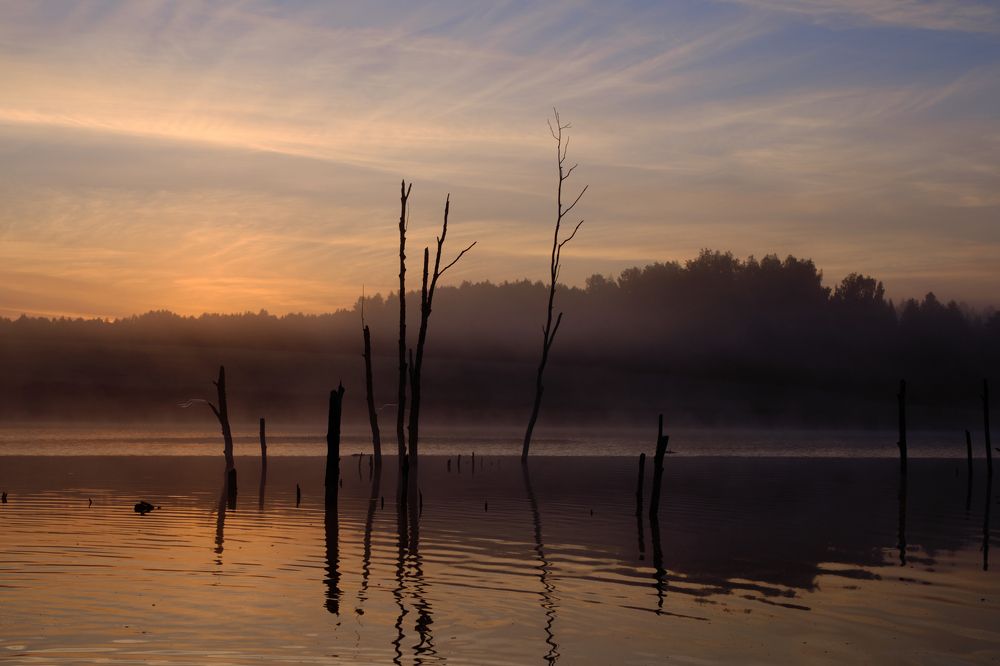 Photograph by Михаил Бронников