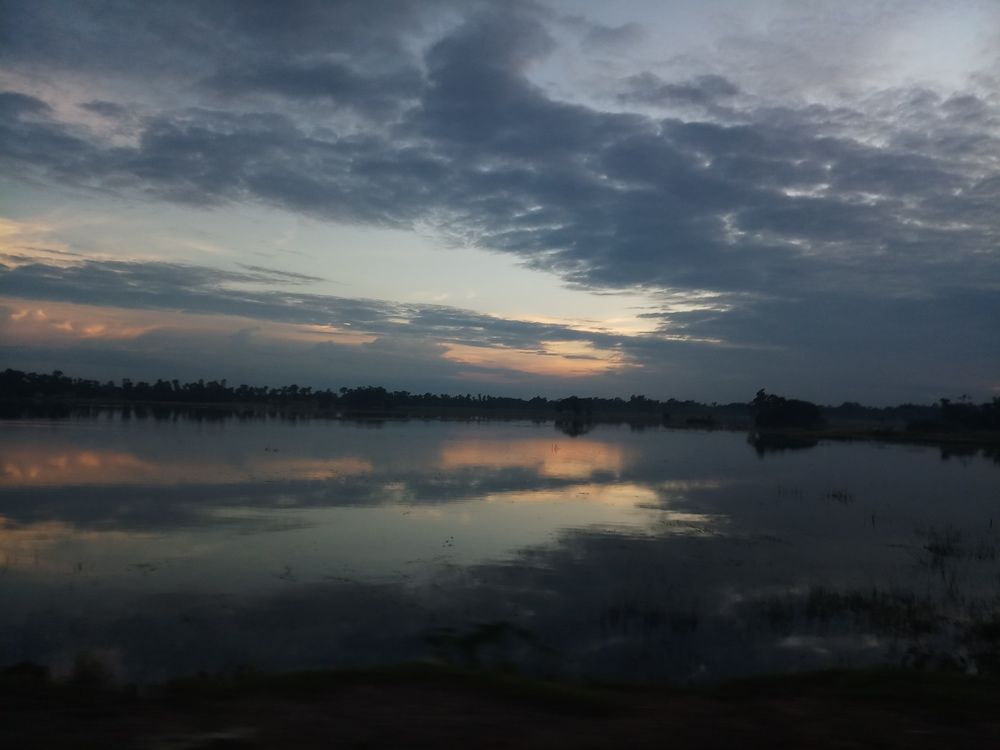 Photo #8130670