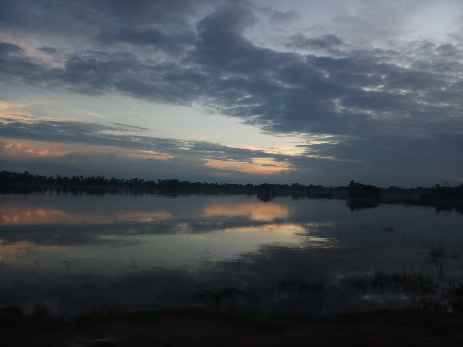 Photo #8130670