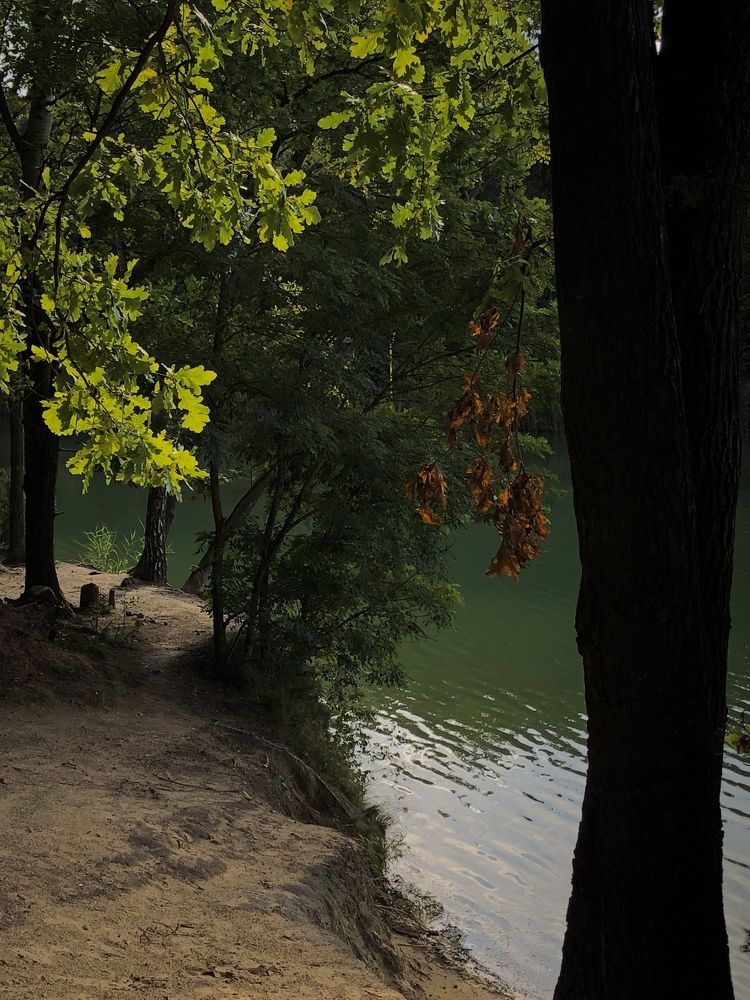 Photograph by Sofia Vasilevskaya