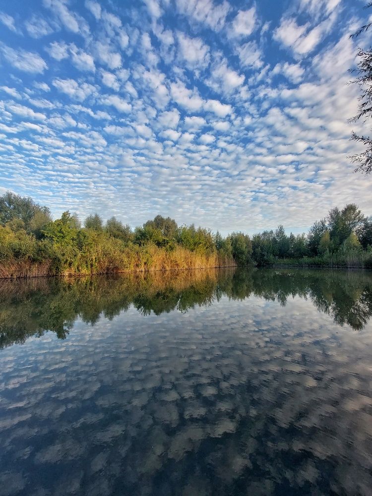 Photograph by Наталья Ткаченко