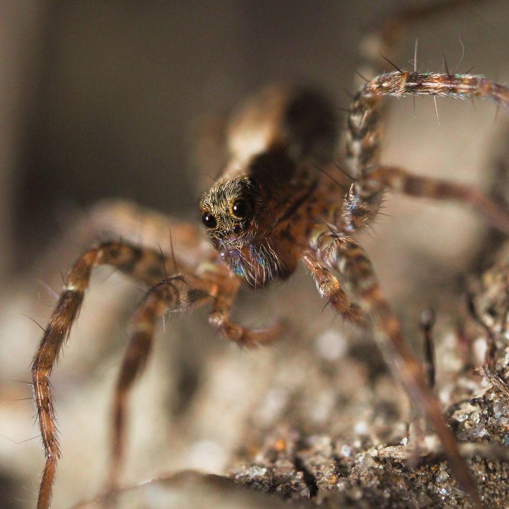 Photograph by Ирина Протченко