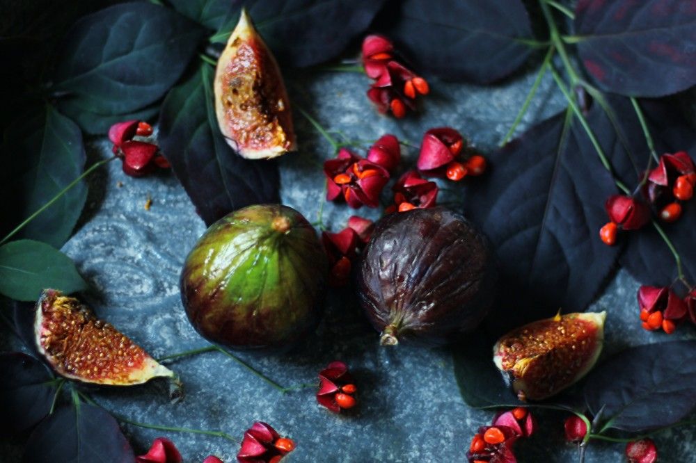 Photograph by Lena Feldman