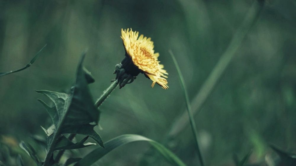 Photograph by Алёна Бондаренко