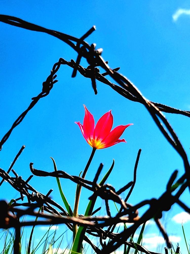 Photograph by Наталья Анисимова