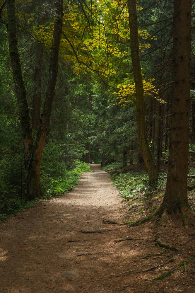 Photograph by Ксения Лаевская