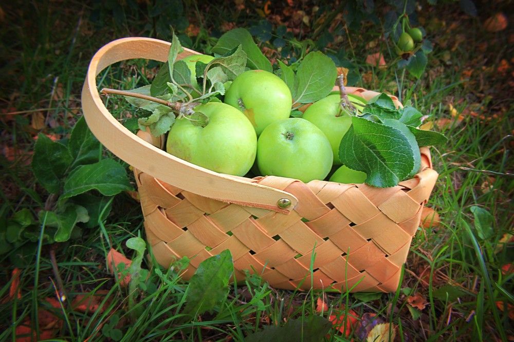 Photograph by Lena Feldman