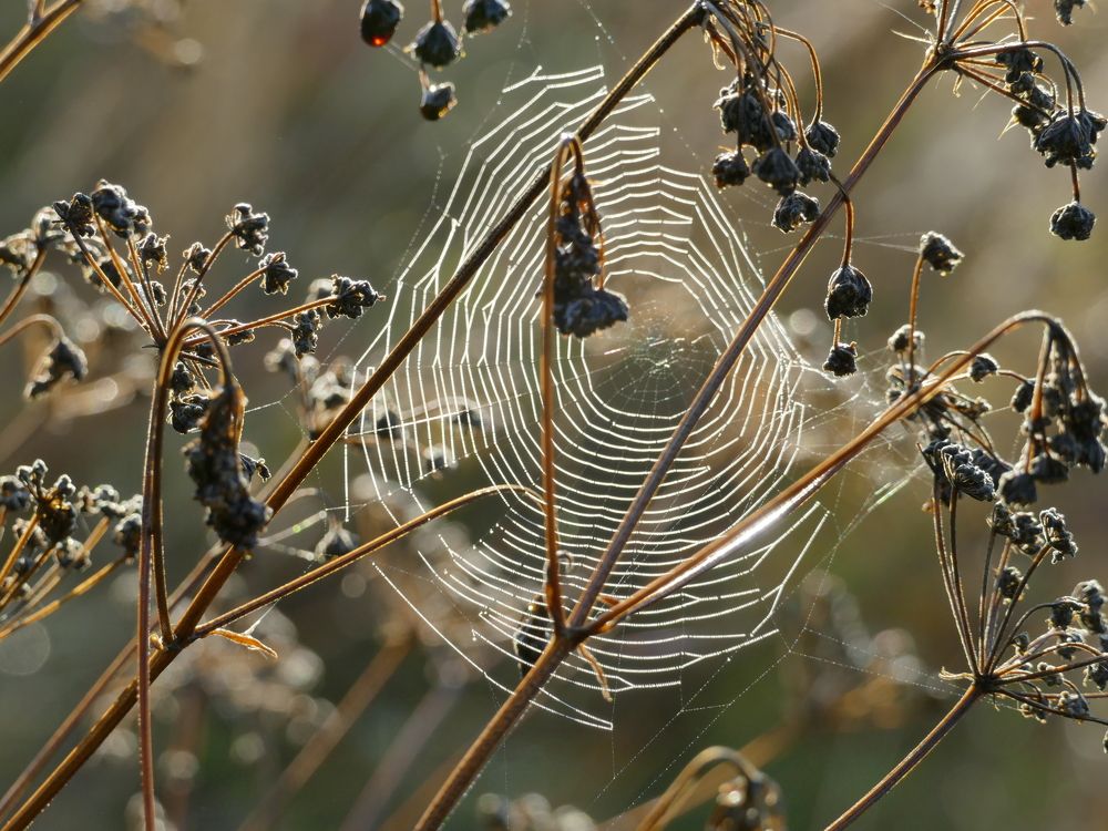 Photograph by Александр Кизим