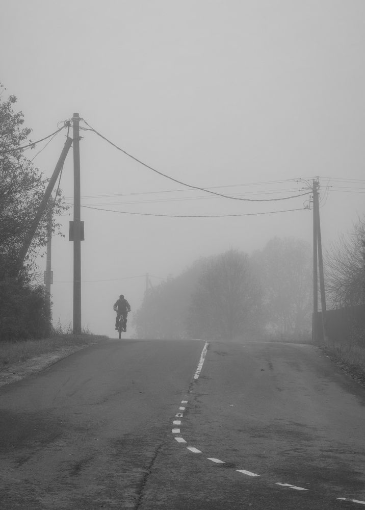 Photograph by Дарья