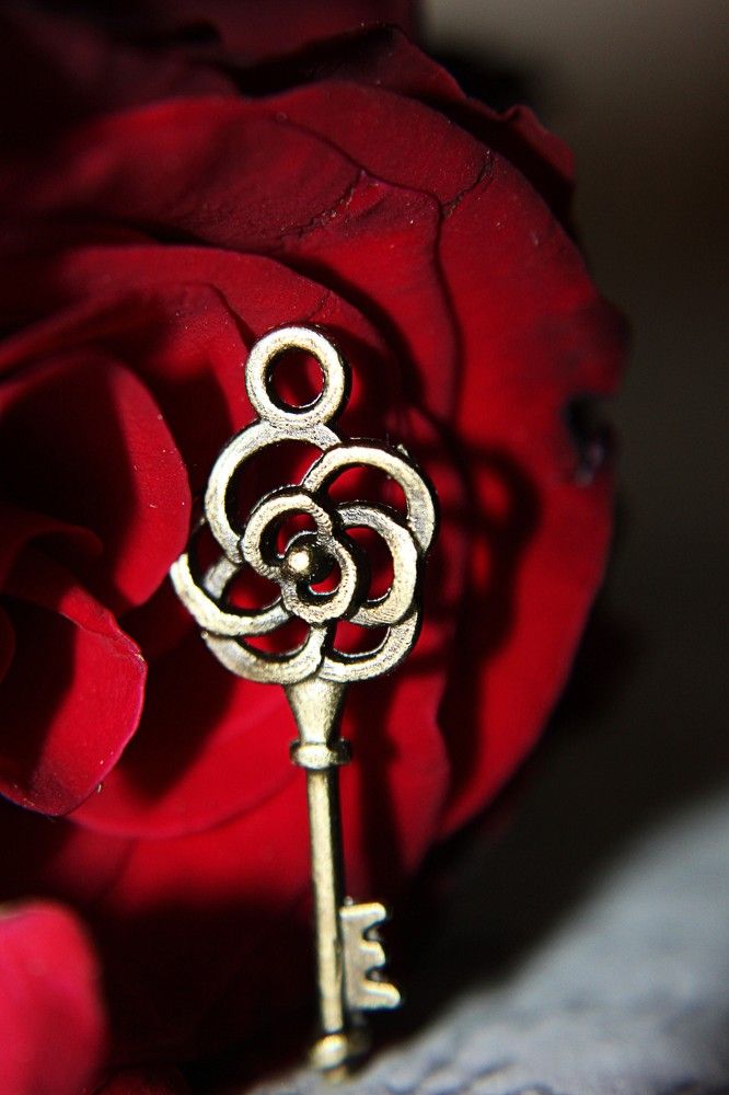 Photograph by Lena Feldman