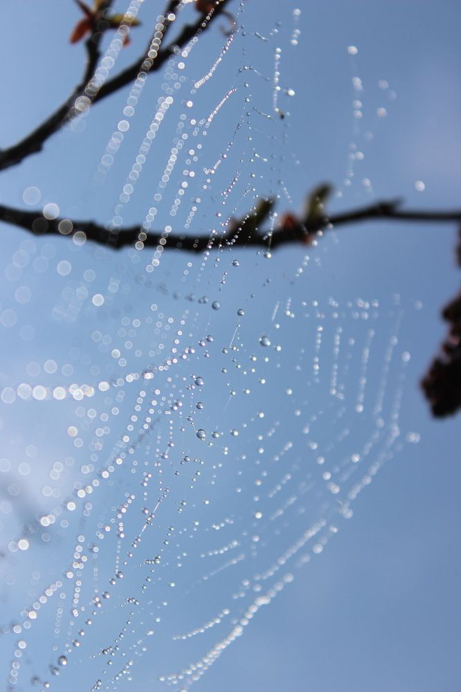 Photograph by Андрей Хитрун