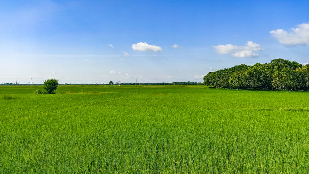 Photograph by Nishant Raj