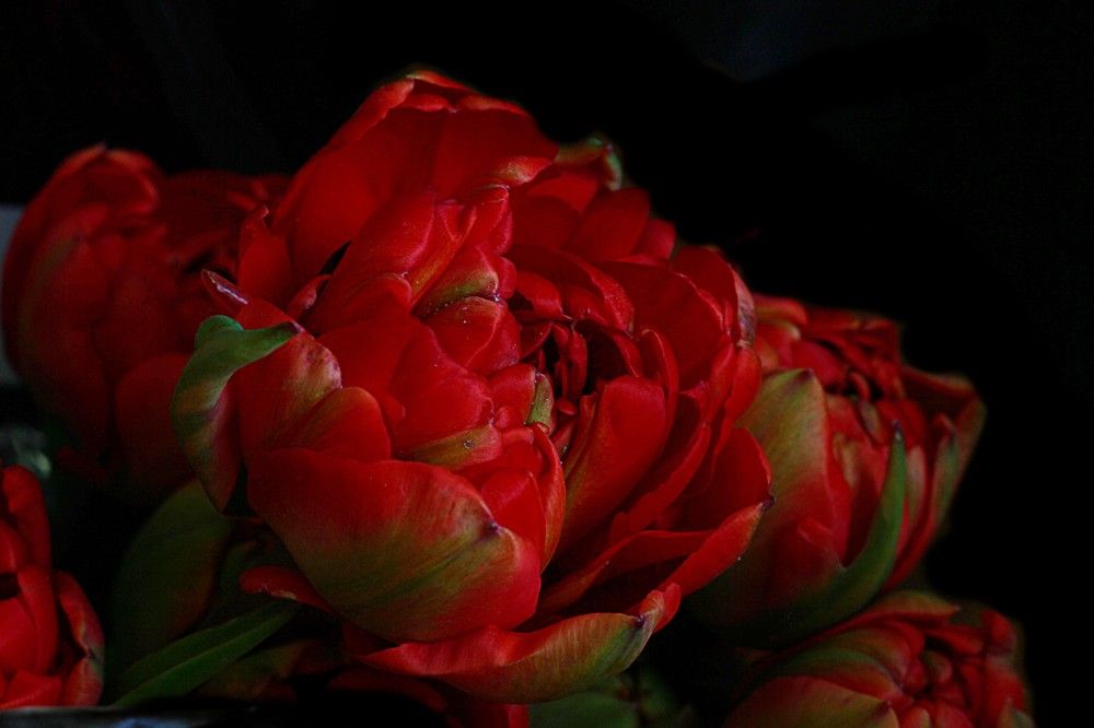 Photograph by Lena Feldman